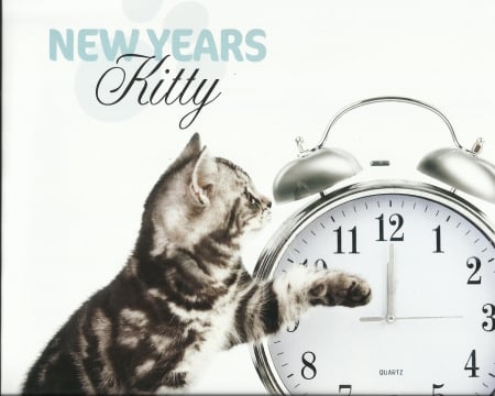 New Year Kitty - kitten, tabby, cute, clock, paws