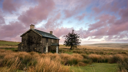 cottage in a beautiful meadow - meadow, clouds, cottage, tree, bushes