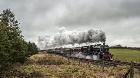 gorgeous steam train rolling through the countryside - countryside, steam, train, tracks, overcast