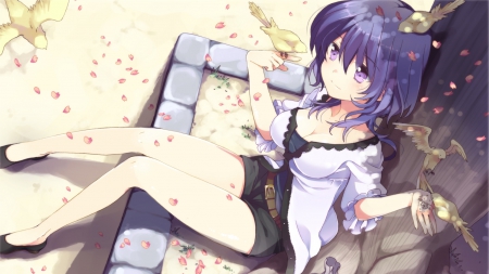 Anime Girl - anime, anime girl, birds, pruple hair, blush, shirt, siting, cute, shorts, pruple eyes