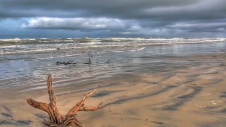 driftwood on a beautiful beach - clouds, beach, waves, sea, driftwood