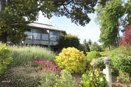 Victoria front yard garden - Flowers, green, photography, garden