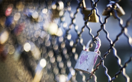 lock bridge - paris, locks, romantic, beautiful, fence, love, architecture, bridge