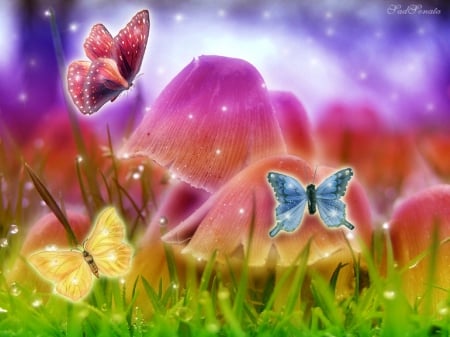 âœ«Sparkling of Butterfliesâœ« - photomanipulation, mushrooms, sparkling, animals, colorful, fantasy, creative pre-made, digital art, softness beauty, grass, butterflies, attractions in dreams, plants, sparkle, bright, love four seasons, beautiful, backgrounds, sweet, butterfly designs