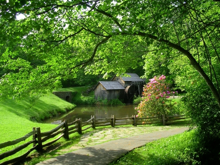 A mill - nice, lake, fence, trees, pomd, greenery, water, mill, nature, forest, beautiful, green, grass, lvoely, water mill