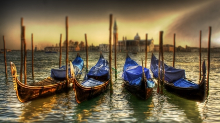 focused photo of docked gondolas in venice hdr - docked, gondolas, focuse, pylons, city, harbor, hdr