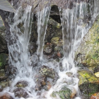 Waterfalls at the Garden