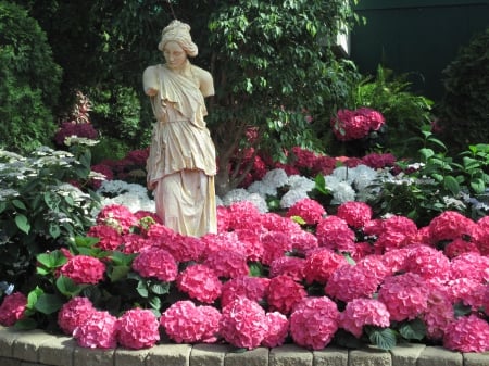 Flowers Contrast background 38 - Flowers, garden, red, green, photography, hydrangeas, statue