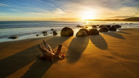 fabulous sunrise on a rocky beach - beach, shadows, sea, sunrise, driftwood, rocks