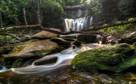 Elakala Falls, West Virginia - nature, trees, waterfall, usa