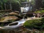 Elakala Falls, West Virginia