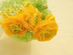 Yellow Roses Still Life