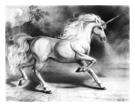 Unicorn - white, art, horse, draw, fantasy, black, unicorn