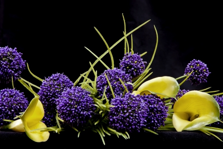 PURPLE & YELLOW STILL - photos, pretty, lilies, yellow, beautiful, beauty, lovely, cool, still life, natural, flowers, nature, purple, macro, carnations, close up