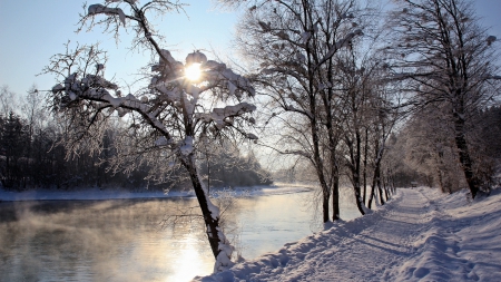 path along a gorgeous river in winter - path, river, trees, winter, staem, sun