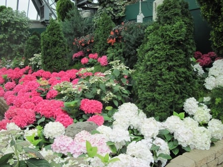 Colorful Flowers a garden makeup 42 - white, trees, red, photography, green, hydrangeas, flowers, garden