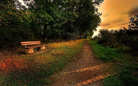 Sunset - park, bench, trees, road