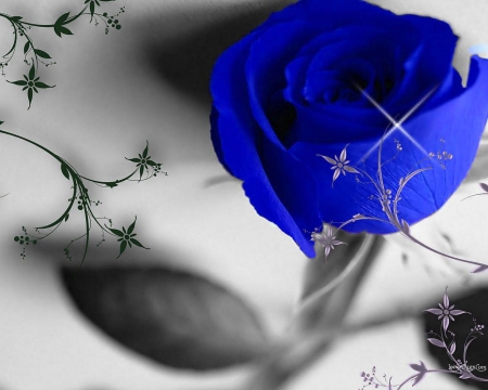 ~It's Blue~ - nature, rose, blue, flower