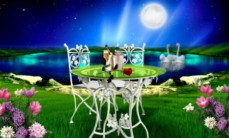 A Toast To Our Love! - flowers, pretty, romantic, beautiful, fullmoon, night, love