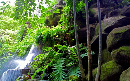 FOREST WATERFALLS - nature, forest, watertfalls, green, bamboo