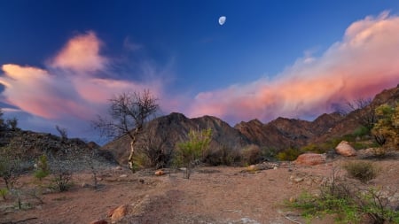 fantastic clouds in a moonlit morning in argentina - clouds, moon, desert, mounds, morning, tree