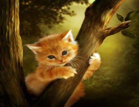 ~The Brave~ - branches, photomanipulation, adorable, cat, trees, animals, kitty, lovely, plants, creative pre-made, kitten, the brave, digital art, backgrounds, el valiente, cute