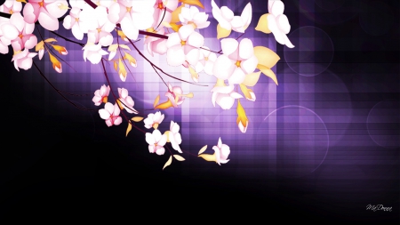 Abstract with Blossoms - abstract, blooms, Sakaura, cherry blossoms, fragrant, spring, petals, flowers, fresh, purple