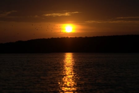 sun across water - night, water, lake, sun