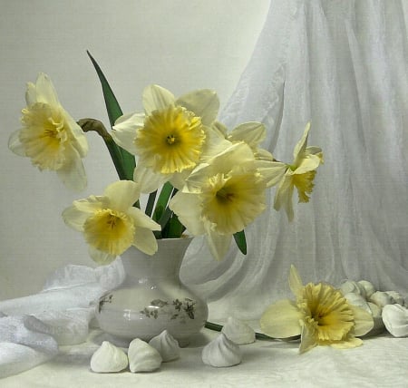 Amazing daffodils - nature, flora, composition, flowers, plants, still life