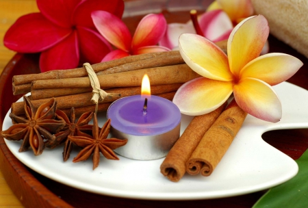 FENG SHUI - anise, candle, light, seed, spa, cinammon