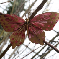 A giant pink butterfly at the garden