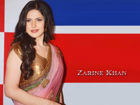 zarine khan - beauty, actress, smile, sari