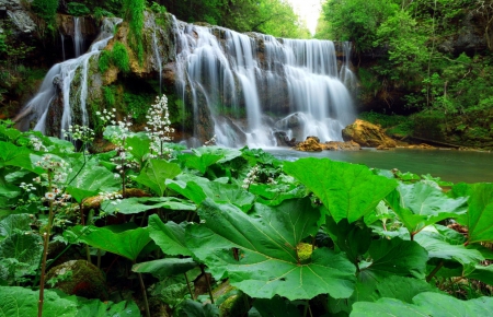 Waterfall - nice, greenery, stream, water, waterfall, calm, quiet, fall, river, green, falling, summer, lovely, woods, forest, beautiful, tranquil, leaves