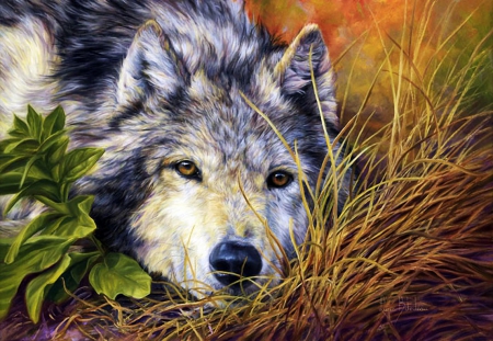 Resting Wolf - wildlife, predator, artwork, nature