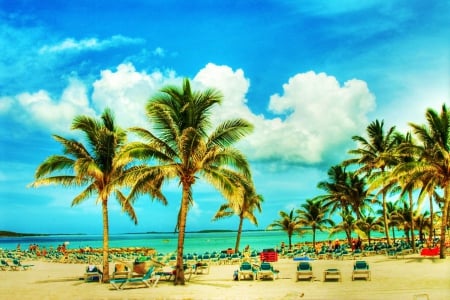 Beach of Nassau, Bahamas - clouds, coconut, trees, palms, summer, sand, beachchair