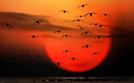 SUNSET AT CATALANO BEACH - california, travel, hot, sun, sunset, fantasy, photos, cool, clouds, red, birds