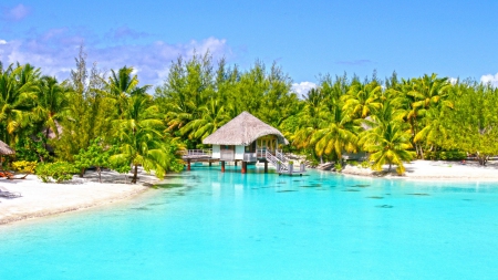 Clear aqua blue lagoon and white sand beach on paradise island Bora Bora - beach, aqua, paradise, clear, white, polynesia, bora bora, atoll, lagoon, sand, ocean, palm trees, islands, tropical, exotic, blue, beautiful, island, sea, tahiti