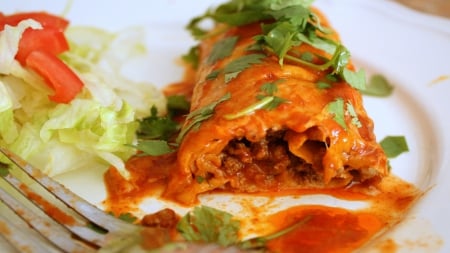 Mexican Beef Bean Burrito - mexico, sauce, fork, spicy, burrito, abstract, beef, bean, chive