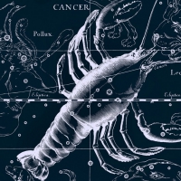 Zodiac ~ Cancer