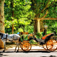 Park at Seville, Spain