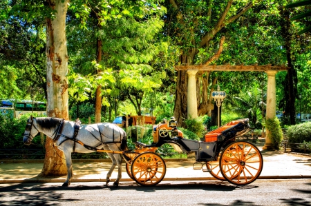 Park at Seville, Spain - trees, coach, hdr, path, plants