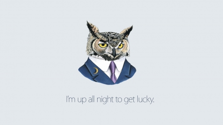 Get Lucky - night, lucky, funny, owl