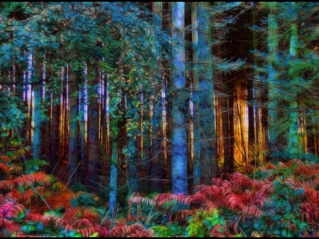 The magic forests - forests, trees, abstract, art