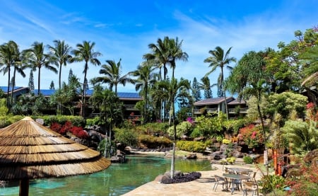 Hanalei Bay Resort Swimming Pool Kauai Hawaii - kauai, gardens, jacuzzi, island, hawaii, polynesia, tub, swimming, hanalei, garden, exotic, paradise, hotel, trees, water, hot, resort, polynesian, palm, islands, tropical, pool, bay