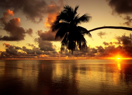 Cook Islands - Island, Awesome, sunset, Nature, beautiful, Beaches, Cook Islands, Gorgeous