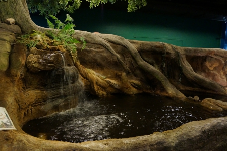 Jurassic Pond - jurassic, dinosaurs, pond, jurassic pond