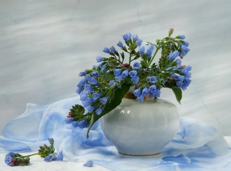 Blue - flowers, nature, plants, still life, composition, flora