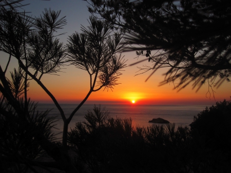 Sunset at Es Vedra - sunshine, sky, ocean, trees, sun, sunset, summer, beautiful, red, sunsets, orange