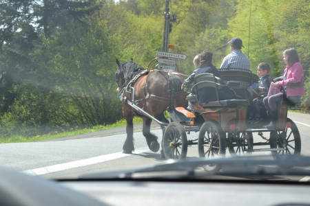 voyage en calèche - ardennes, en, voyage, caleche