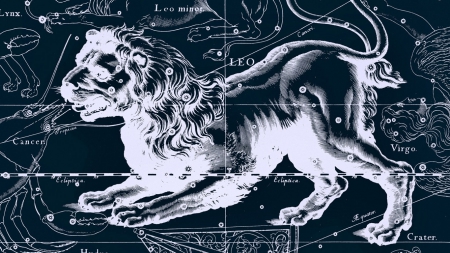 Zodiac ~ Leo - white, sky, constellation, stars, zodiac, lion, blue, leo